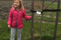 Linne Blom 31-1-2016
