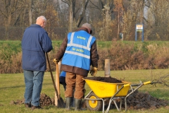 Planten-6