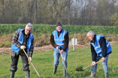 Planten7